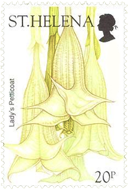 Angel's Trumpet Stamp